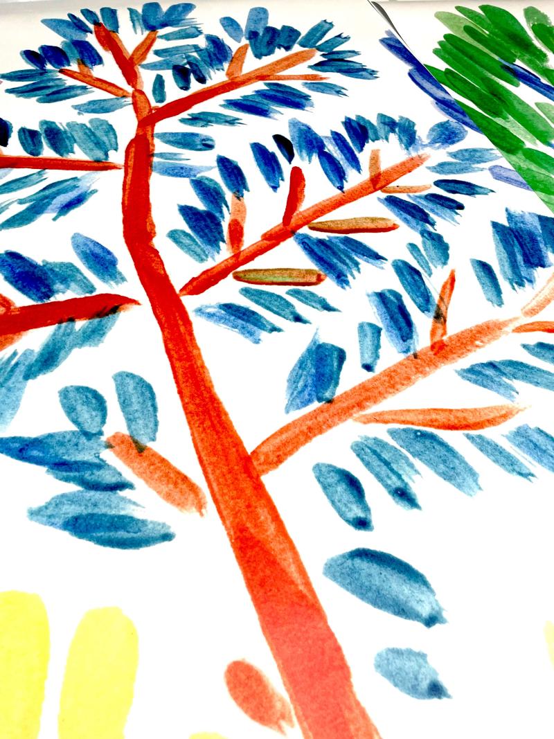 Kid Forest