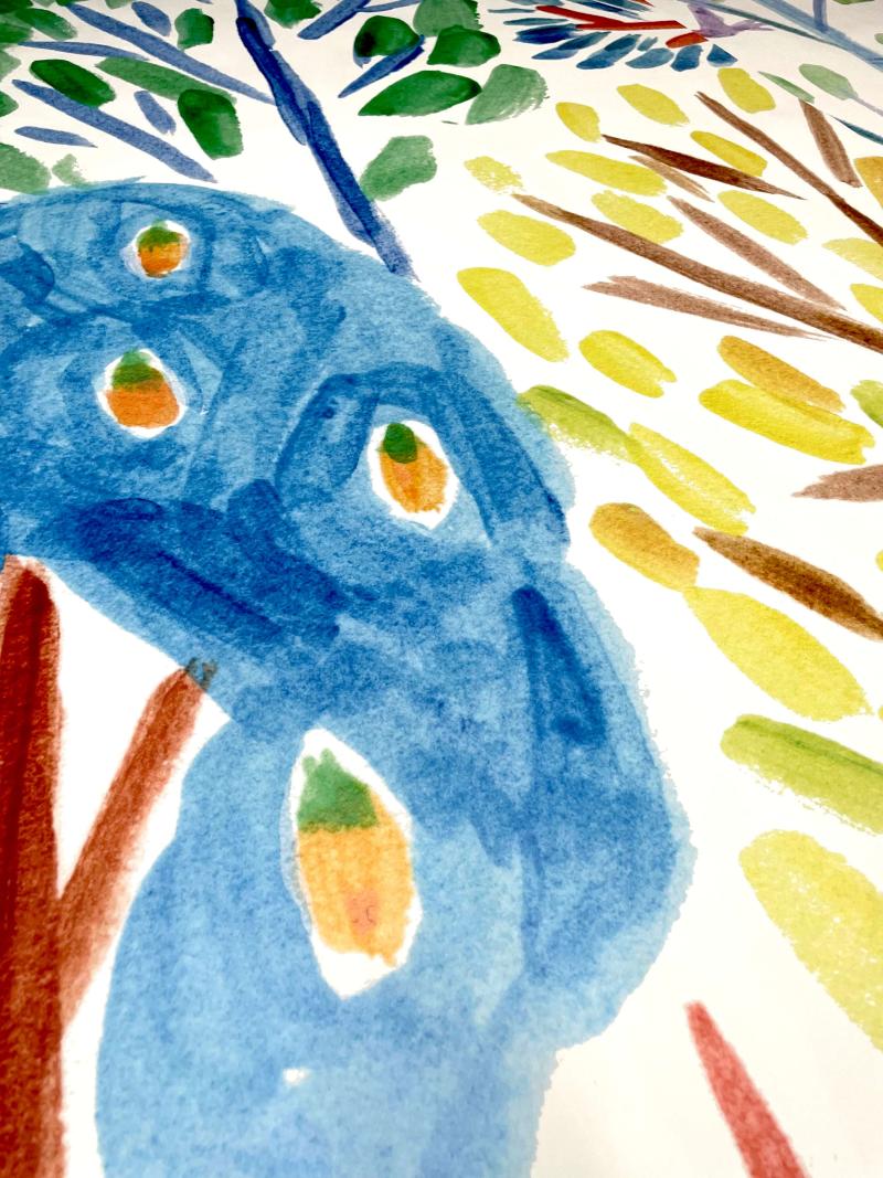 Kid Forest