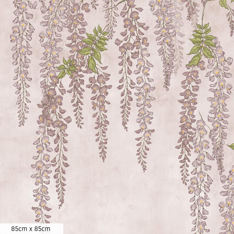 Wisteria