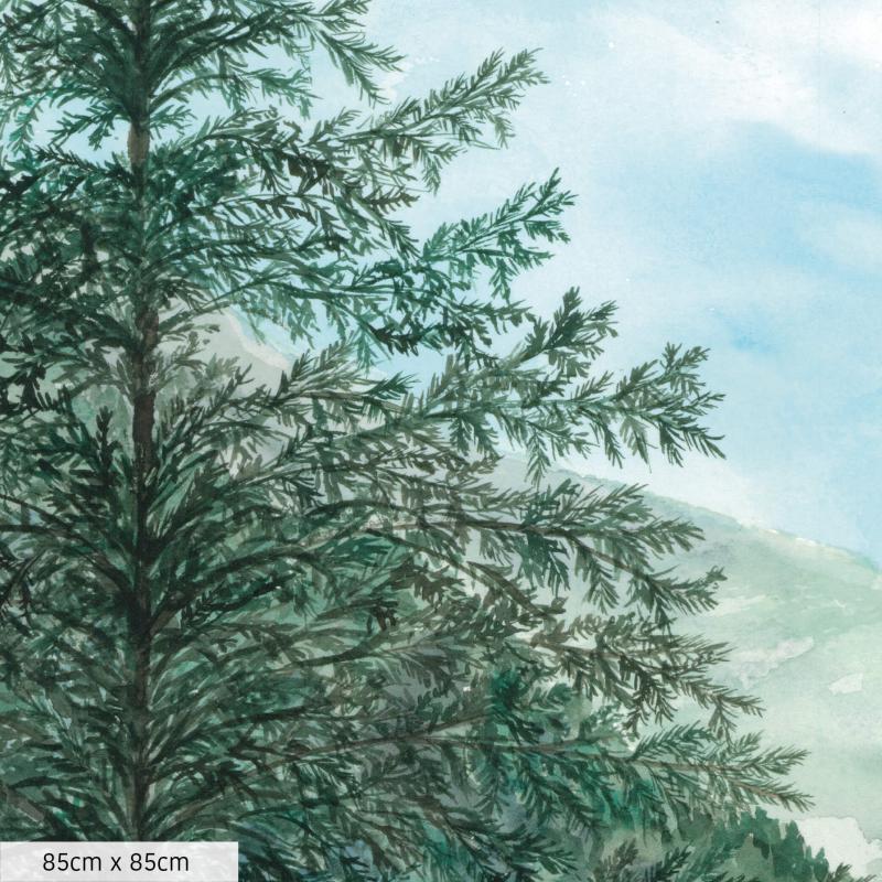 Forêt d'occident