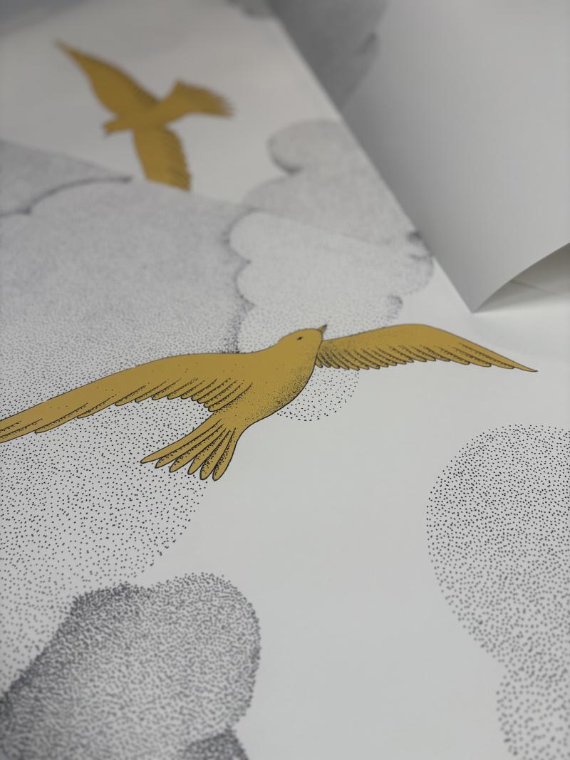 Nuages et oiseaux