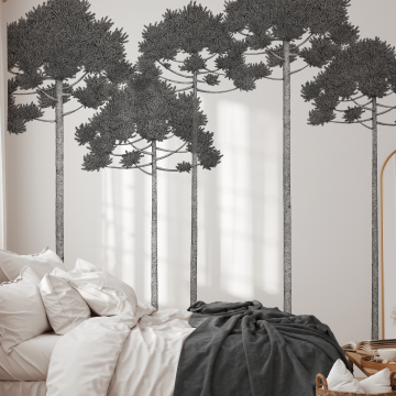 Araucarias